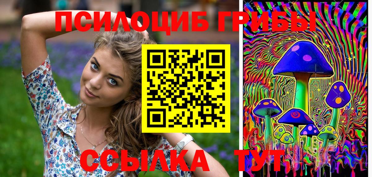 Михайловка  Псилоцибиновые грибы Cubensis  Вход с VPN 